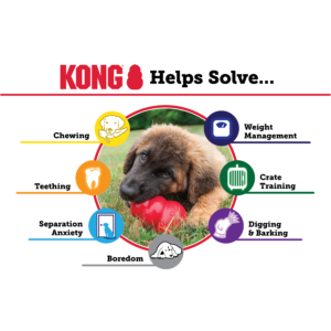 KONG Classic Dog Toy